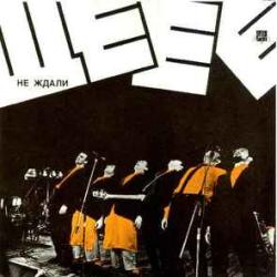 НЕ ЖДАЛИ ЩЕ-Е-Е Виниловая пластинка 