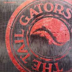 TAIL GATORS Ok Let's Go! Виниловая пластинка 