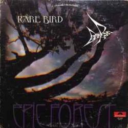 RARE BIRD EPIC FOREST Виниловая пластинка 