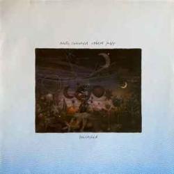 ANDY SUMMERS AND ROBERT FRIPP BEWITCED Виниловая пластинка 