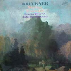 BRUCKNER STRING QUINTET LUBOMIR MALY Виниловая пластинка 
