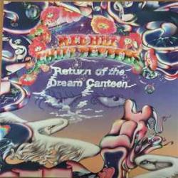 RED HOT CHILI PEPPERS Return Of The Dream Canteen Виниловая пластинка 