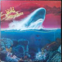 JACK LANCASTER Wild Connections Виниловая пластинка 