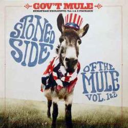 GOV'T MULE STONED SIDE OF THE MULE  VOL.1&2 Виниловая пластинка 