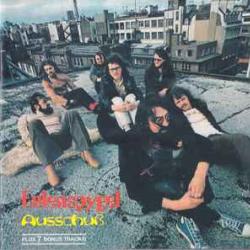 EULENSPYGEL AUSSCHUSS Фирменный CD 