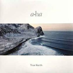 A-HA True North Виниловая пластинка 