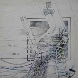 TAI PHONG TAI PHONG Виниловая пластинка 