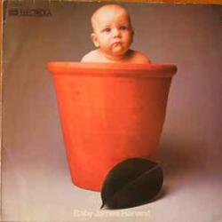 BARCLAY JAMES HARVEST BABY JAMES HARVEST Виниловая пластинка 