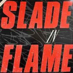 SLADE SLADE IN FLAME Виниловая пластинка 