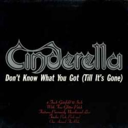 CINDERELLA DON'T KNOW WHAT YOU GOT Виниловая пластинка 