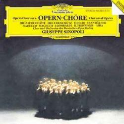 OPERN-CHORE CHOR UND ORCHESTER DER DEUTSCHEN OPER BERLIN Виниловая пластинка 