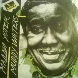 MUDDY WATERS МАДДИ УОТЕРС Виниловая пластинка 