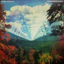 TAME IMPALA Innerspeaker Виниловая пластинка 