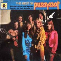 PUSSYCAT BEST OF Виниловая пластинка 