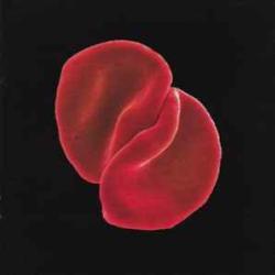 PETER GABRIEL SCRATCH MY BACK Фирменный CD 