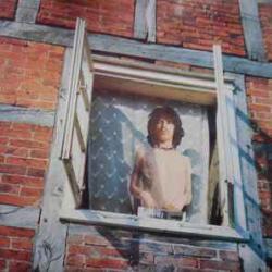 ROLLING STONES STARS IN THE SKY THEY NEVER LIE Виниловая пластинка 