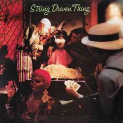 STRING DRIVEN THING STRING DRIVEN THING Виниловая пластинка 