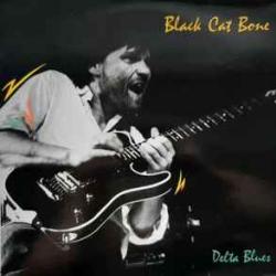BLACK CAT BONE DELTA BLUES Виниловая пластинка 