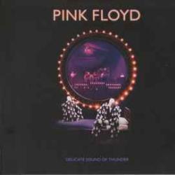 PINK FLOYD Delicate Sound Of Thunder Фирменный CD 