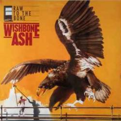 WISHBONE ASH RAW TO THE BONE Виниловая пластинка 