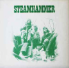 STEAMHAMMER