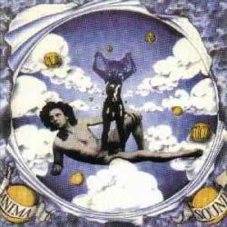 ANIMA Stürmischer Himmel Фирменный CD 