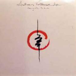 ANDREAS VOLLENWEIDER DANCING WITH THE LION Виниловая пластинка 