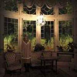 ANNAMY WOODPECKER Фирменный CD 