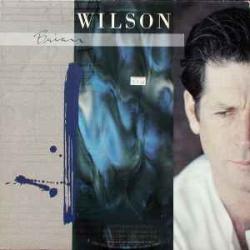 BRIAN WILSON BRIAN WILSON Виниловая пластинка 