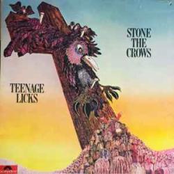 STONE THE CROWS TEENAGE LICKS Виниловая пластинка 