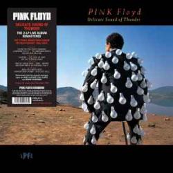 PINK FLOYD DELICATE SOUND OF THUNDER Виниловая пластинка 