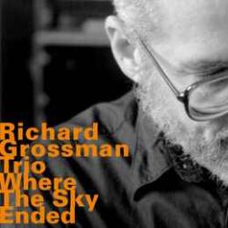 RICHARD GROSSMAN TRIO WHERE THE SKY ENDED Фирменный CD 