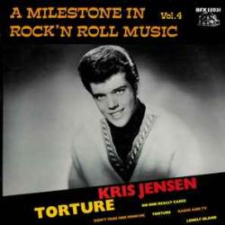 KRIS JENSEN Torture Виниловая пластинка 