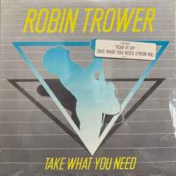 ROBIN TROWER TAKE WHAT YOU NEED Виниловая пластинка 