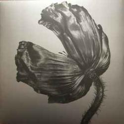 PET SHOP BOYS RELEASE Виниловая пластинка 