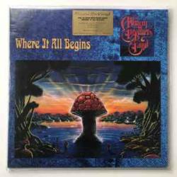 ALLMAN BROTHERS BAND WHERE IT ALL BEGINS Виниловая пластинка 