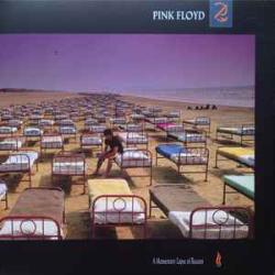 PINK FLOYD A MOMENTARY LAPSE OF A REASON Виниловая пластинка 
