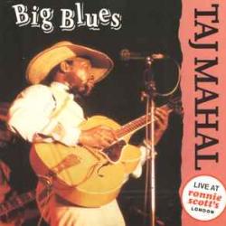 TAJ MAHAL BIG BLUES Фирменный CD 
