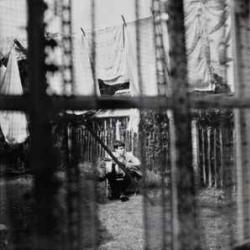 PAUL MCCARTNEY CHAOS AND CREATION IN THE BACKYARD Виниловая пластинка 