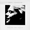 YOU'RE THE VOICE