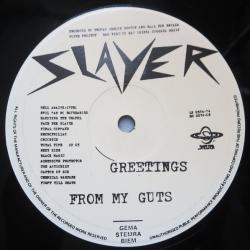 SLAYER GREETINGS FROM MY GUTS Виниловая пластинка 