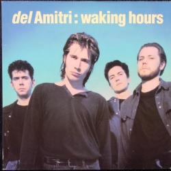 DEL AMITRI WALKING HOURS Виниловая пластинка 