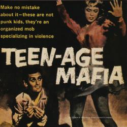 VARIOUS Loud, Fast & Out Of Control (The Wild Sounds Of '50s Rock) CD3 Фирменный CD 