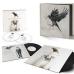 PAROV STELAR DEMON DIARIES LP-BOX 