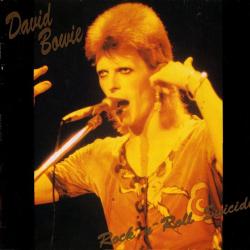 DAVID BOWIE ROCK-N-ROLL SUICIDE Виниловая пластинка 