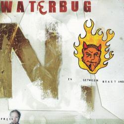Waterbug Inbetween Beast And Freak Фирменный CD 