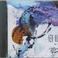 VARIOUS New Music From Blue Flame Records Фирменный CD 
