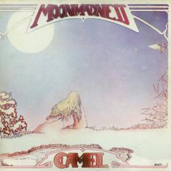 CAMEL MOONMADNESS Виниловая пластинка 