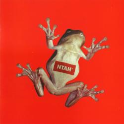 Adrian Sherwood Never Trust A Hippy Фирменный CD 