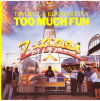 Too Much Fun